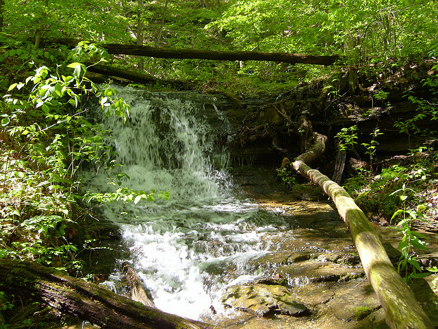 Mammoth Cave Sal Hollow Trail